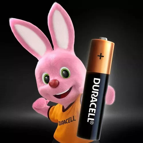 Pack Pilas Duracell AA 12 Unidades